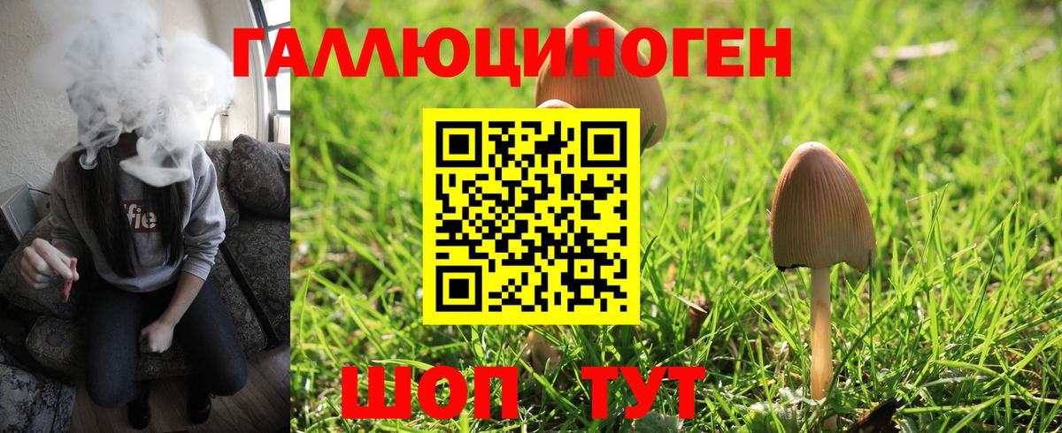 Советский  Галлюциногенные грибы GOLDEN TEACHER  Вход с VPN 