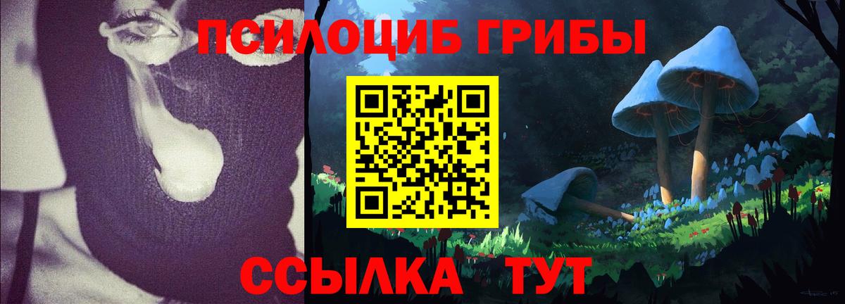 Псилоцибиновые грибы Cubensis Советский